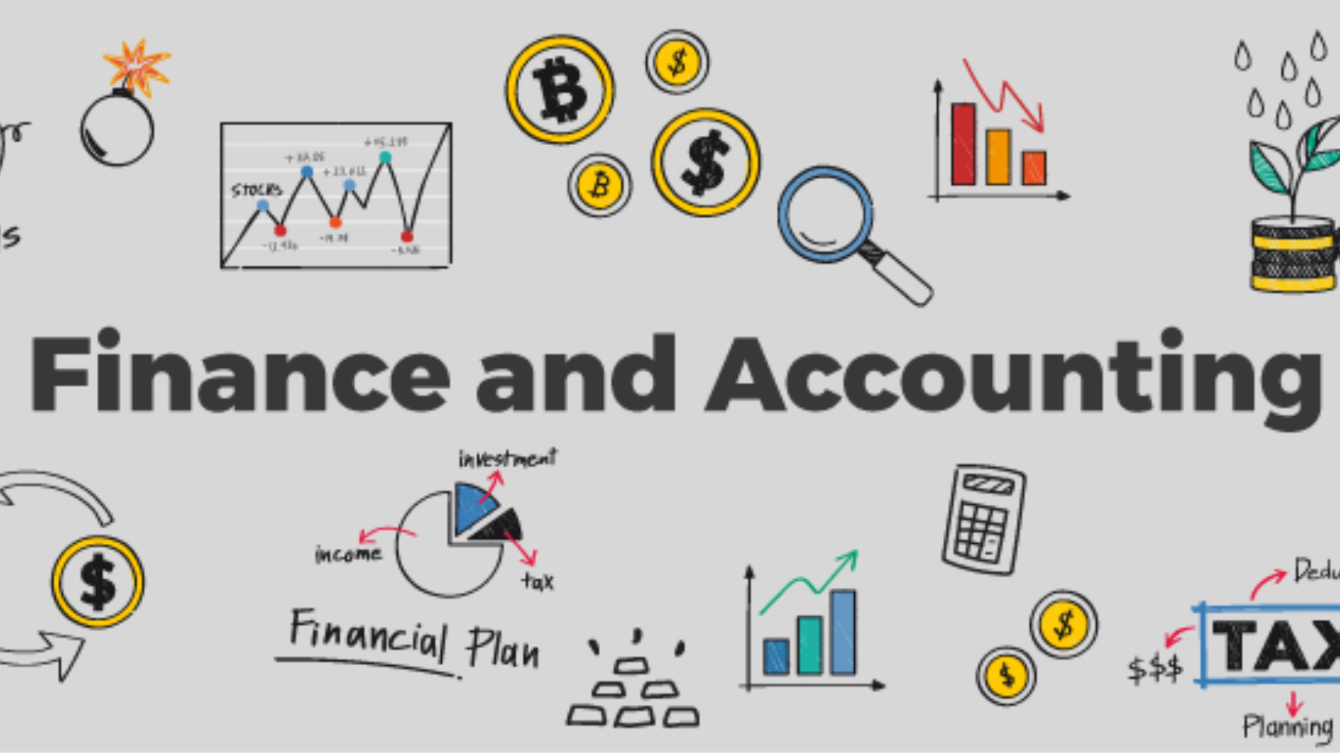 Finance & Accounting 